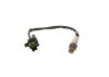 Oxygen Sensor -
