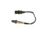 Oxygen Sensor -