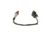 Oxygen Sensor -