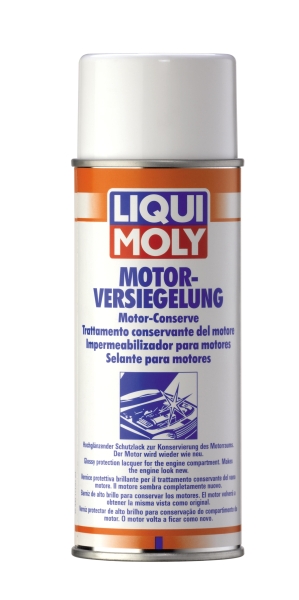 Engine Gloss Paint konserveerimis-sprei 300ml