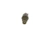 Nozzle and Holder Assembly -