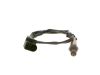 Oxygen Sensor -