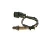 Oxygen Sensor -