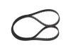 Timing Belt -