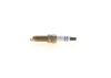 Spark Plug -