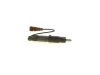 Nozzle and Holder Assembly A 004 017 31 21 MERCEDES-BENZ