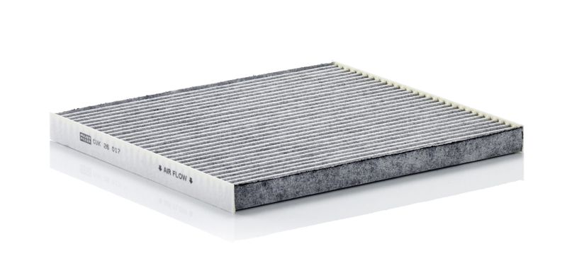 Filter, cabin air Hyundai 0 986 AF4 565