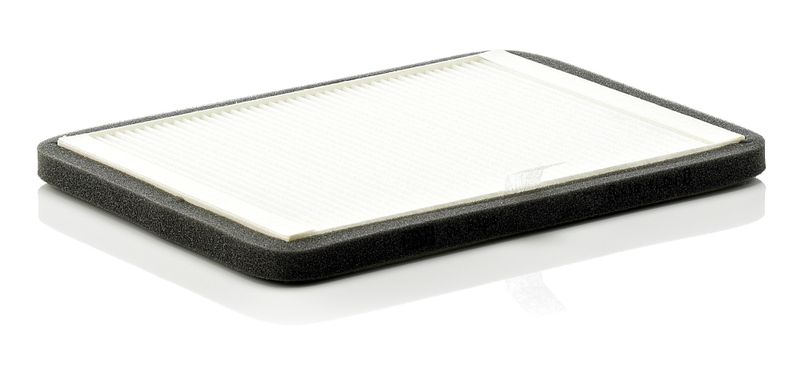 Filter, cabin air RENAULT Megane I