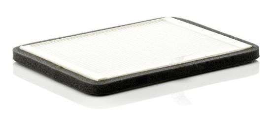 Filter, cabin air RENAULT Megane I
