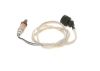 Oxygen Sensor BMW