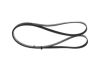 V-Ribbed Belt -