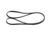 V-Ribbed Belt -
