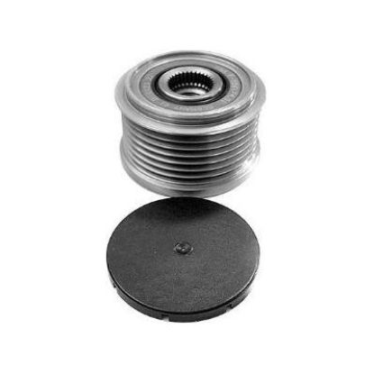 Alternator Freewheel Clutch -