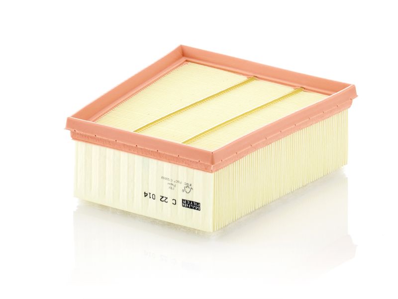Air Filter Renault Car EAF953