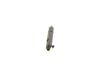 Nozzle and Holder Assembly -