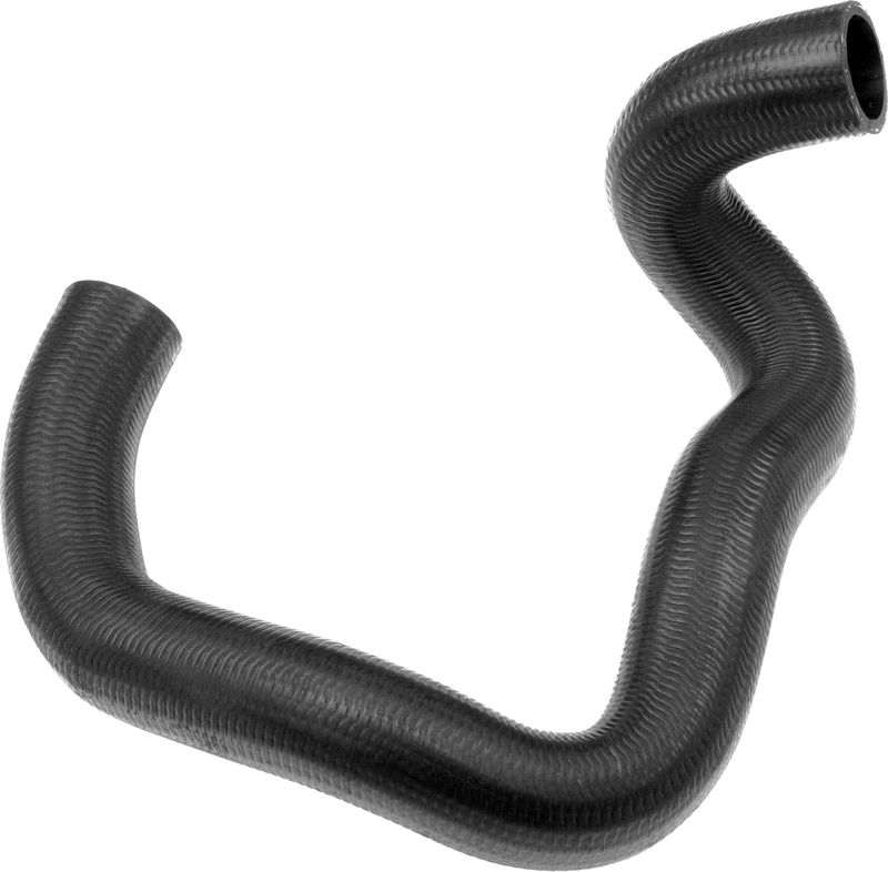 Radiator Hose -