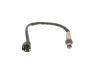 Oxygen Sensor -