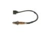 Oxygen Sensor -