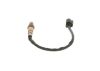 Oxygen Sensor -