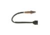 Oxygen Sensor -