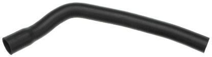 Radiator Hose - Radiator Hose -