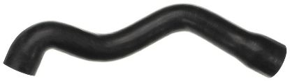 Radiator Hose - Radiator Hose -