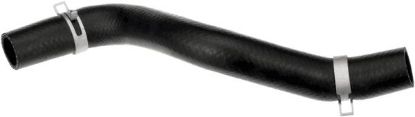 Radiator Hose - Radiator Hose -