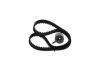 Timing Belt Kit -
