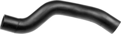 Radiator Hose - Radiator Hose -