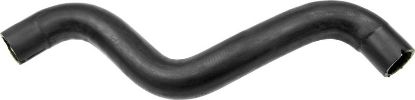 Radiator Hose - Radiator Hose -