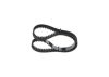 Timing Belt -