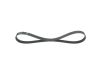 V-Ribbed Belt -