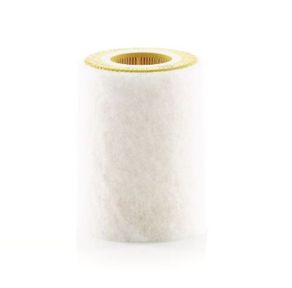 Air Filter Smart Car MCC