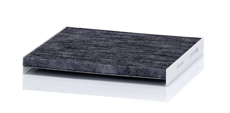Filter, cabin air Hyundai 97133-G8000