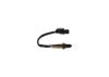 Oxygen Sensor -