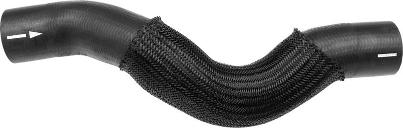 Radiator Hose -
