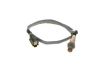 Oxygen Sensor -
