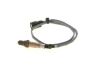 Oxygen Sensor -