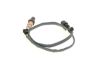 Oxygen Sensor -