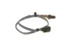 Oxygen Sensor -