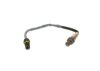 Oxygen Sensor BMW