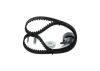 Timing Belt Kit -