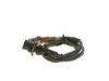 Oxygen Sensor -
