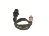 Oxygen Sensor -