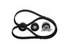 Timing Belt Kit -