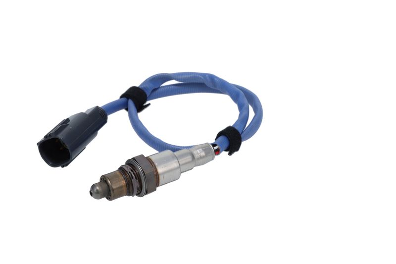 Oxygen Sensor -
