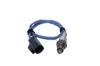Oxygen Sensor -