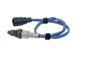 Oxygen Sensor -