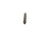 Nozzle and Holder Assembly -