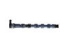 Distributor Pipe, fuel -